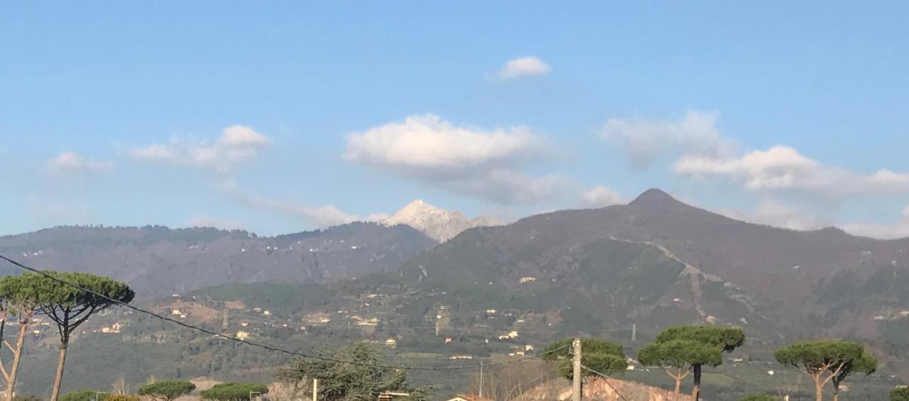 Domus Zoe Lägenhet Forte dei Marmi Exteriör bild